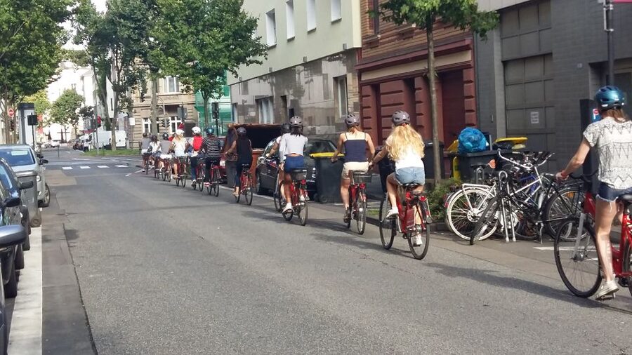 Cologne: 3-Hour Guided Bike Tour - Cologne Cathedral zone + Museum Ludwig: the stops that anchor the tour
