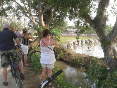 Colors of Chiang Mai Guided Bicycle Tour - Pacing and Route: 20–25 Km on Quiet Roads to the Ping River