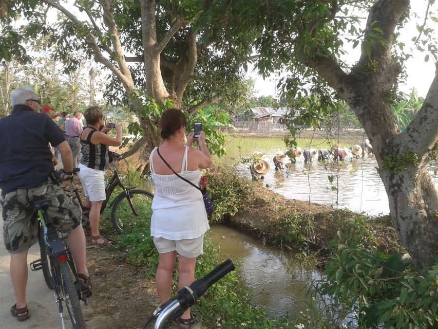 Colors of Chiang Mai Guided Bicycle Tour - Pacing and Route: 20–25 Km on Quiet Roads to the Ping River