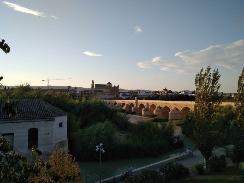 Córdoba Daily Highlights Bike Tour - Quick Take: Why This Córdoba Highlights Ride Works