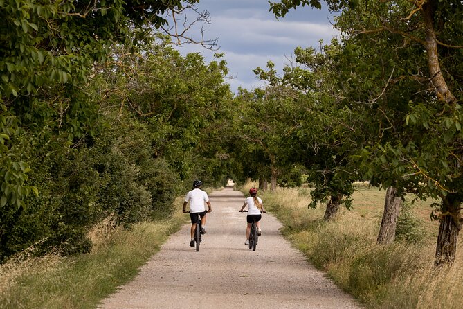 Cortona - eBike tour and wine tasting in the Val di Chiana [+40€] - Why the guides matter: from Valentin to Chiara
