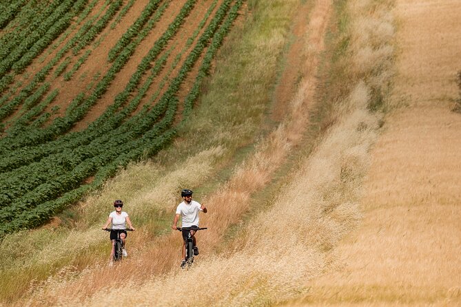 Cortona - eBike tour and wine tasting in the Val di Chiana [+40€] - Wine tasting and light lunch: the optional €40 payoff