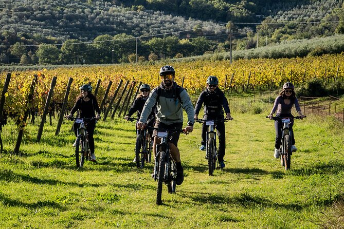 Cortona - eBike tour and wine tasting in the Val di Chiana [+40€] - Who should book this, and who might skip it