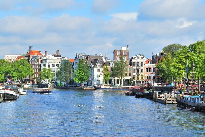 Countryside Bike Tour from Amsterdam: Cheese, Clogs & a Windmill - Key Points You’ll Care About