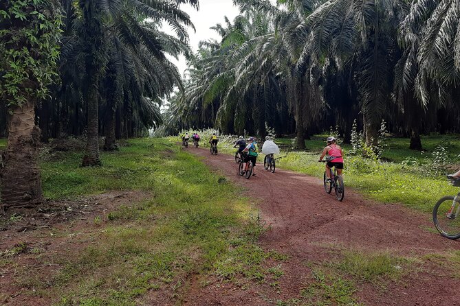 Countryside Cycling Tour. T1.0 by Matahari - Key highlights you should care about