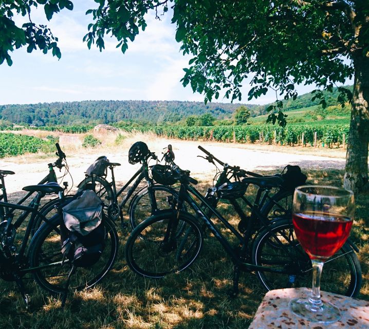Dijon: Bike tour and Tastings in the Vineyards of Burgundy - Key things to know before you go