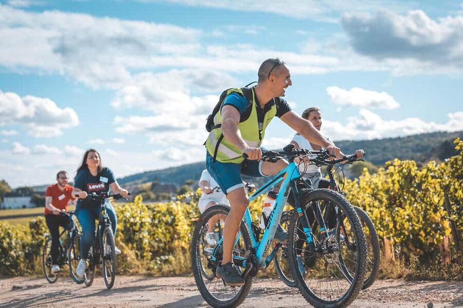 Dijon: Bike tour and Tastings in the Vineyards of Burgundy - Why This Dijon Vineyard Bike Tour Works