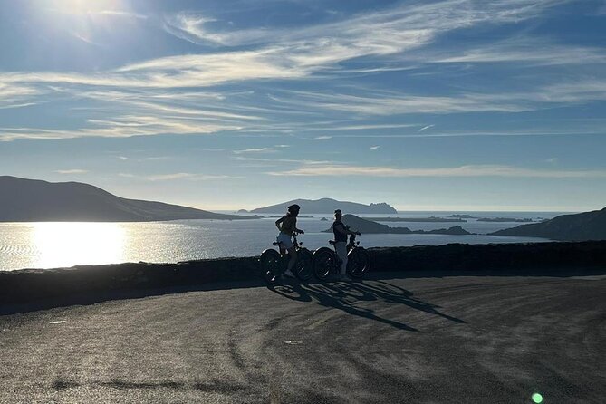 Dingle Peninsula by eBike: Must-Do Half-Day Activity! - Dingle town and the peninsula drive: use the 15 and 20 minutes well