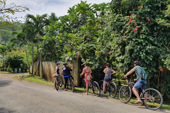 'Discover' Rarotonga Cycling Tour with Lunch - Key highlights worth caring about