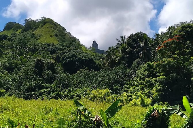'Discover' Rarotonga Cycling Tour with Lunch - Bikes, helmets, and the water bottle you actually need