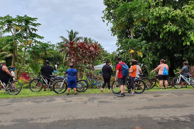 'Discover' Rarotonga Cycling Tour with Lunch - Who this tour suits best (and who should think twice)