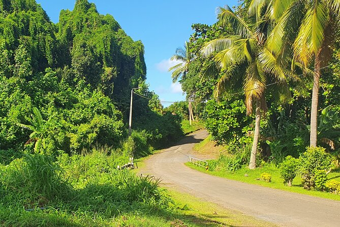 'Discover' Rarotonga Cycling Tour with Lunch - When you should book it: my practical recommendation