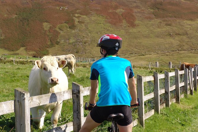 Donegal Coast One Day Self-Guided E-Bike Tour - Why this Donegal e-bike route works as a day trip