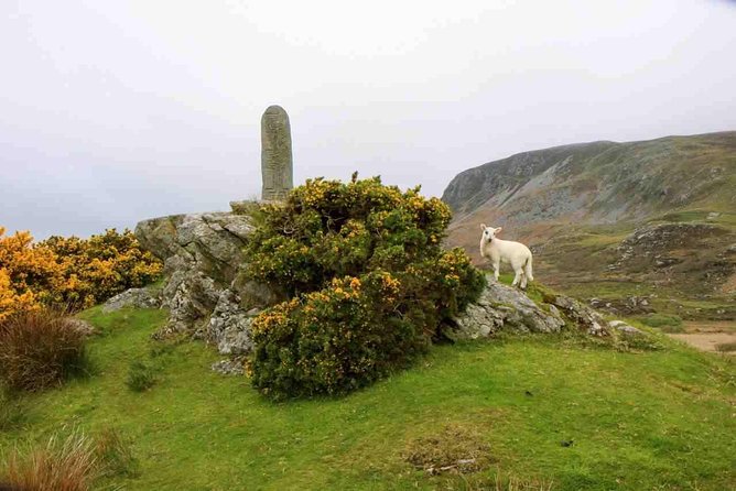 Donegal Coast One Day Self-Guided E-Bike Tour - Cloghanmore Megalithic Tomb: a short, sharp 5,000-year detour