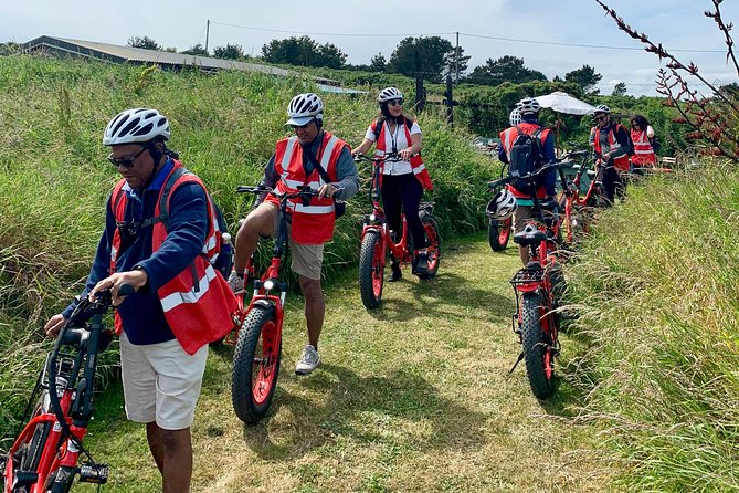 Dublin Panoramic e-Bike Tour with Howth Adventures - Stop-by-stop: Howth Harbour, lighthouse piers, and the feel of the morning