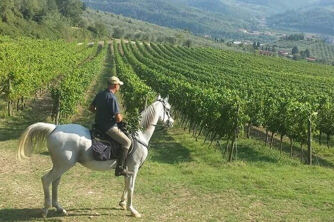 E-bike 2.5 hour Florence & Tuscany With Fresh Olive Oil and Bread - San Miniato al Monte: the Florence viewpoint that makes the hills worth it
