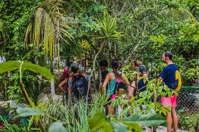 E-Bike Adventure in Cozumel - West Side Ride N' Snorkel - Beach club time: lockers, showers, and how to use the 1.5 hours