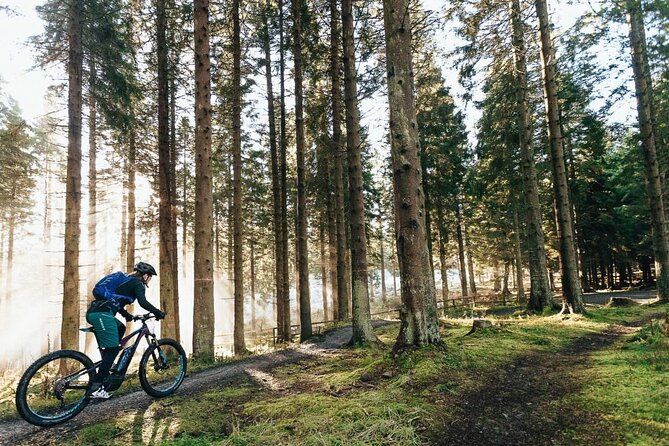 E-bike excursion exploring the Purbecks - A Small Group Means More Time With Your Guide