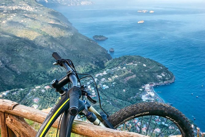 E-Bike Food and Wine Tour in the Sorrento Peninsula - Olive oils, flavored oils, bread, and cheesecake