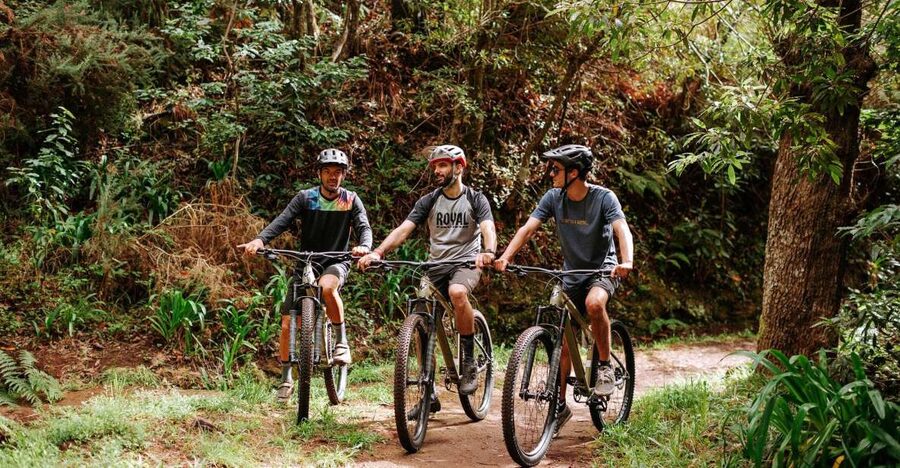 E-Bike Guided Tour - Mountain biking experience - Why this Camacha-to-levadas ride is worth your time