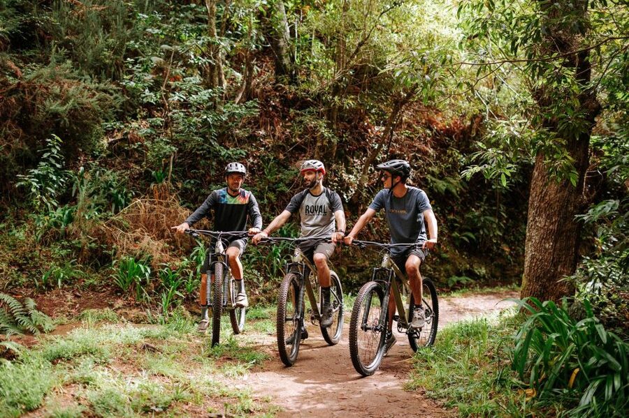 E-Bike Guided Tour - Mountain biking experience - Timing, distance, and effort: what “+250m” means in real life
