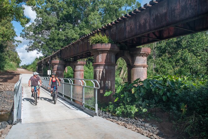 E-Bike Hire: Northern Rivers Rail Trail, Trail Side Hire - Bike setup at Better By Bike Murwillumbah: what you actually get