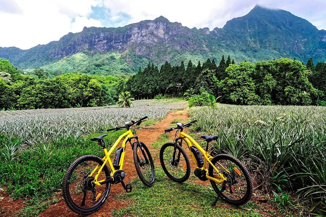 E-Bike Moorea Electric Bike Rental Moorea - Key points that matter before you ride