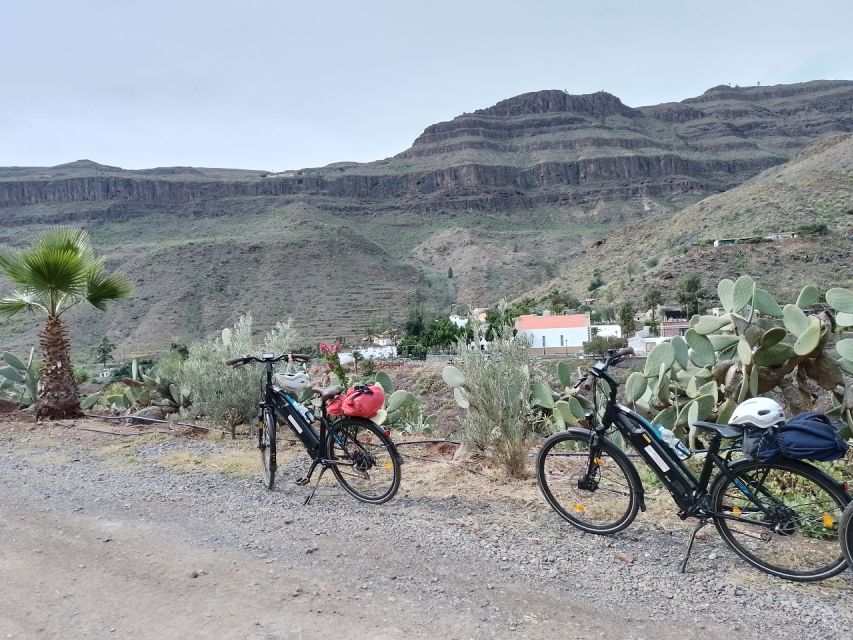 E-Bike Mountain Tour in Natural Park +Option Tapas in a Cave - Key highlights worth showing up for
