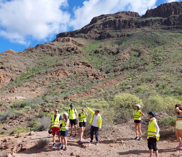 E-Bike Mountain Tour in Natural Park +Option Tapas in a Cave - Crossing the Ayagaures Valley: palms, cacti, and real Canarian flora