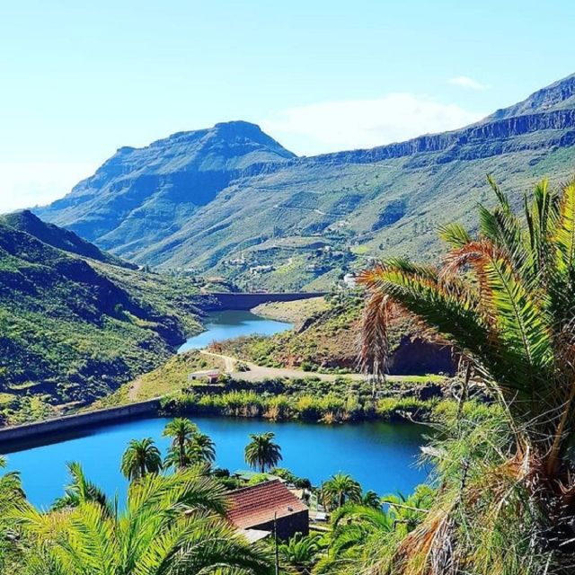 E-Bike Mountain Tour in Natural Park +Option Tapas in a Cave - The cave bar break and optional Canarian tapas