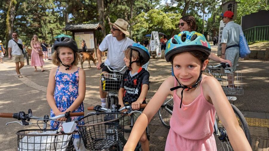 E-Bike Nara Highlights - Todaiji, Knives, Deer, Shrine - Key takeaways before you ride