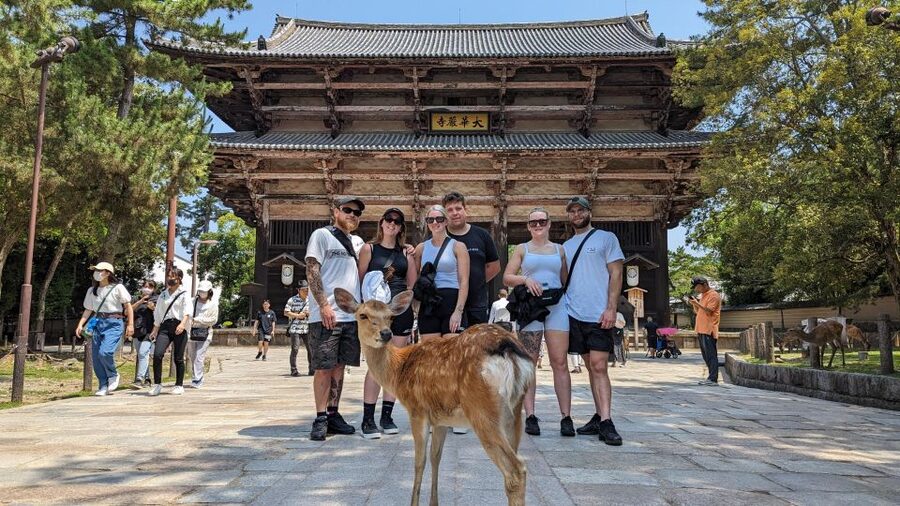 E-Bike Nara Highlights - Todaiji, Knives, Deer, Shrine - What the 210-minute pace feels like on the ground