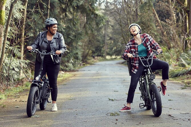 E-bike Rental - 3 hour along the shoreline Bike Path - The Bikes and Gear: What’s Included (and What to Double-Check)