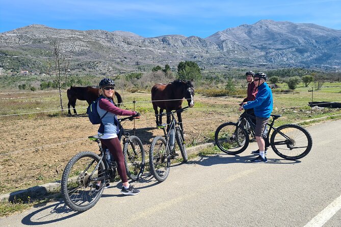 E-Bike Tour + Gourmet Lunch + Wine Tasting (Small Group) - Price at about $226.88: what you’re really paying for