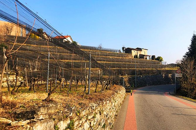 E-Bike Tour Lake Como and Swiss Vineyards - Crossing toward Switzerland: Vacallo and the Merlot vineyard story