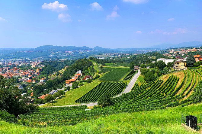 E-Bike Tour Lake Como and Swiss Vineyards - From Villa Olmo to the bike lane by the lake