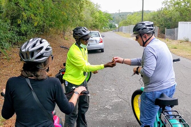 E-Bike Tour of Antigua Forts and Beaches - Weather and timing: how to plan your day