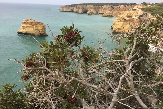 E-Bike Tour: Sete Vales Suspensos Trail (Marinha and Benagil) - Value for money: why $42.33 can be a good deal