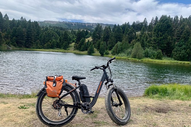 E-Bike Tours in Yellowstone National Park - Why Swan Lake Flats and Mammoth Hot Springs Make This Tour Special