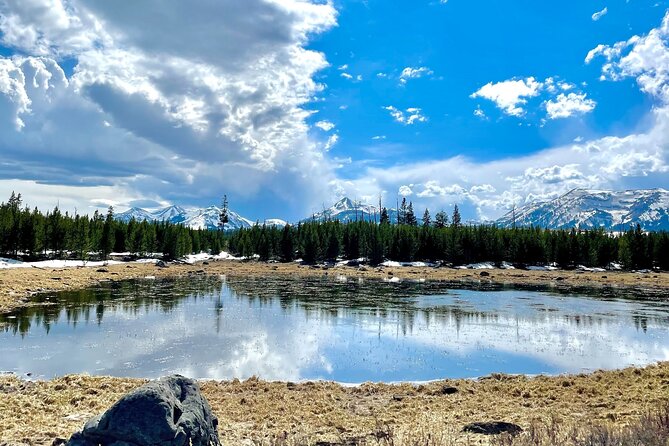 E-Bike Tours in Yellowstone National Park - Safety Culture That Feels Real, Not Scripted