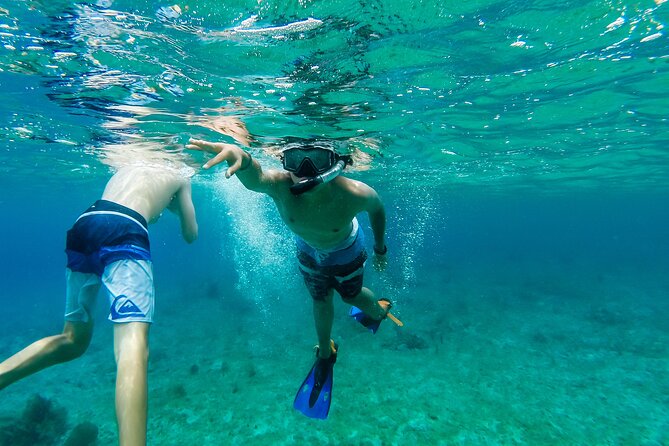 E-bike West Coast Snorkeling Tour - Stop 2: The Mayan Garden in About 45 Minutes—Culture With Context