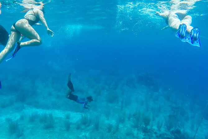E-bike West Coast Snorkeling Tour - Stop 3: Skyreef Beach Club Snorkeling—Warm Water, Fish, and Reef Reality