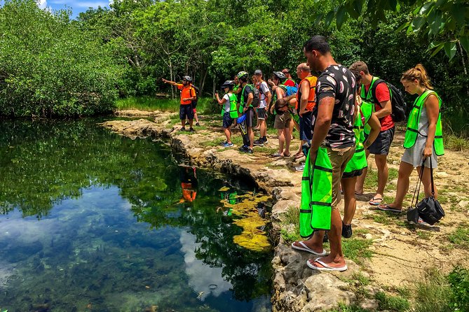 E-bike West Coast Snorkeling Tour - Stop 4: Mi Mexico Lindo Tequila Tour for a Full Hour of Tasting