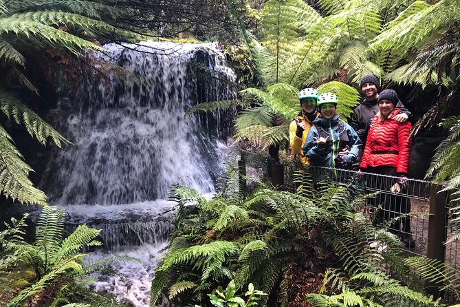 Easy Bike Tour - Mt Wellington Summit Descent & Rainforest Ride - Key things I’d want you to notice before you go