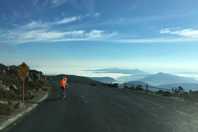 Easy Bike Tour - Mt Wellington Summit Descent & Rainforest Ride - The 6 km summit road descent: fun speed, real cold, and a smart off-ramp