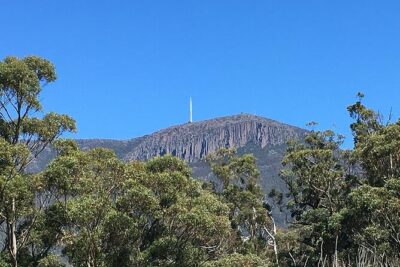 Easy Bike Tour - Mt Wellington Summit Descent & Rainforest Ride - South Hobart check-in: briefing, helmet, and bike confidence fast