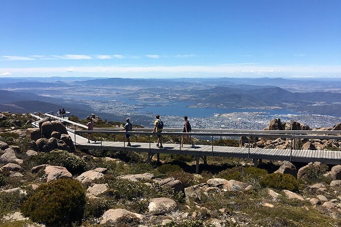 Easy Bike Tour - Mt Wellington Summit Descent & Rainforest Ride - Lost Freight Cafe stop: a timed break that makes the rainforest ride feel easier
