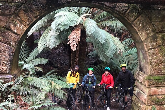 Easy Bike Tour - Mt Wellington Summit Descent & Rainforest Ride - The rainforest ride on compact dirt: 11 km of gentle downhill
