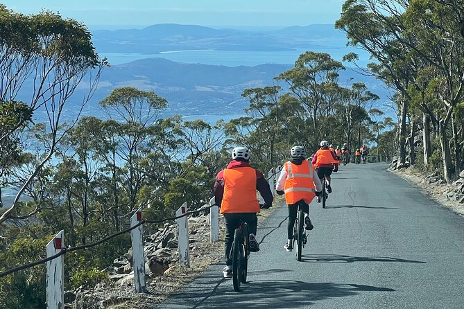 Easy Bike Tour - Mt Wellington Summit Descent & Rainforest Ride - Price and value: what $121.21 buys you in practice