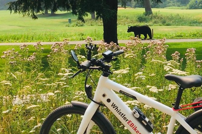 eBike Adventure in Whistler - Key things I’d circle before you go